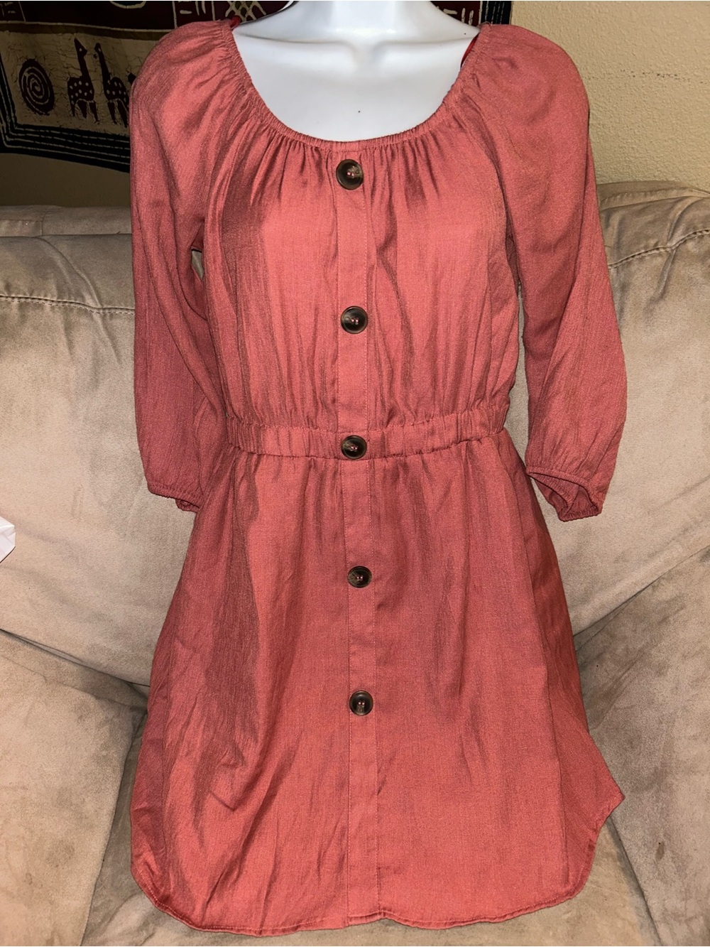 Button-Front Mini Dress in Rust Size Small